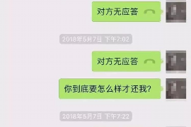 许昌为什么选择专业追讨公司来处理您的债务纠纷？